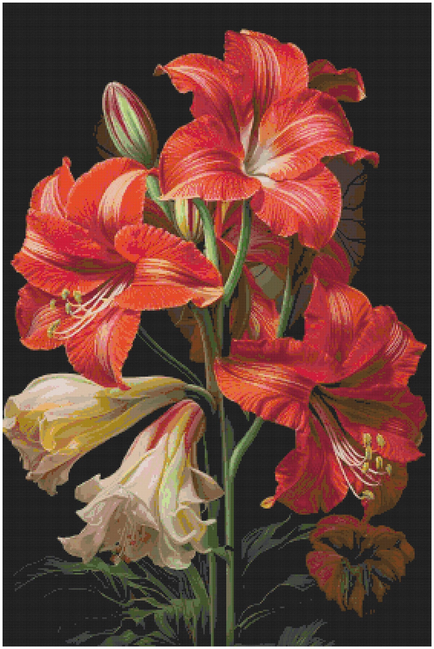 Counted Cross Stitch patterns/ Amaryllis Flowers/ Flowers 165