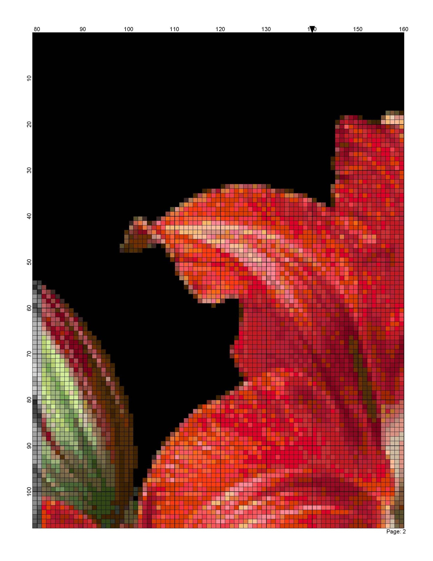 Counted Cross Stitch patterns/ Amaryllis Flowers/ Flowers 165