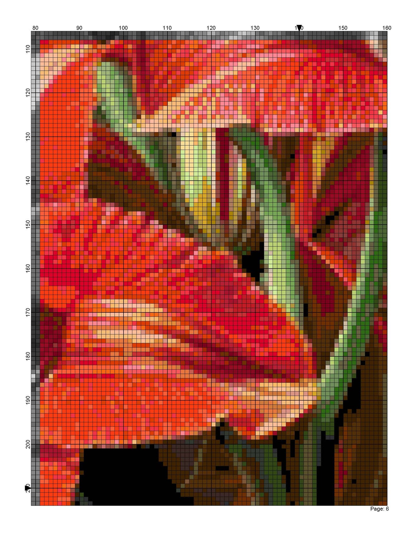 Counted Cross Stitch patterns/ Amaryllis Flowers/ Flowers 165