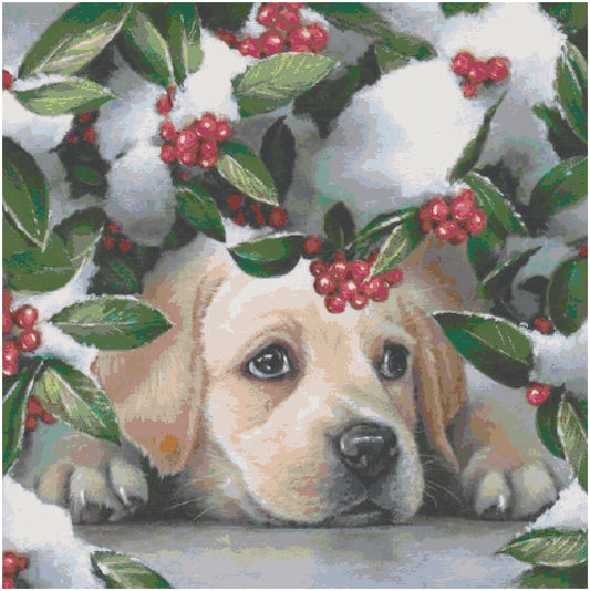 Christmas Dog/ Counted Cross stitch Patterns