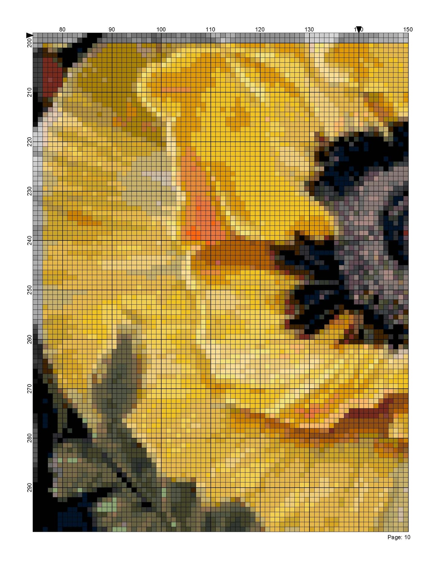 Counted Cross Stitch patterns/ Poppy Floral/ Flowers 155