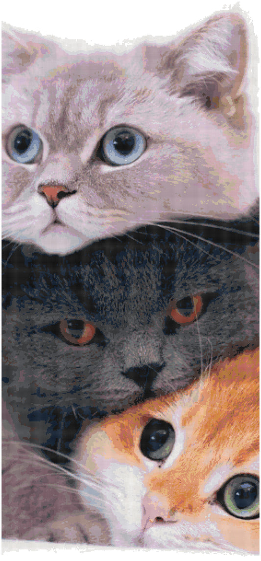 Three Cute Cats/ Cross Stitch Patterns PDF/ Animals 147